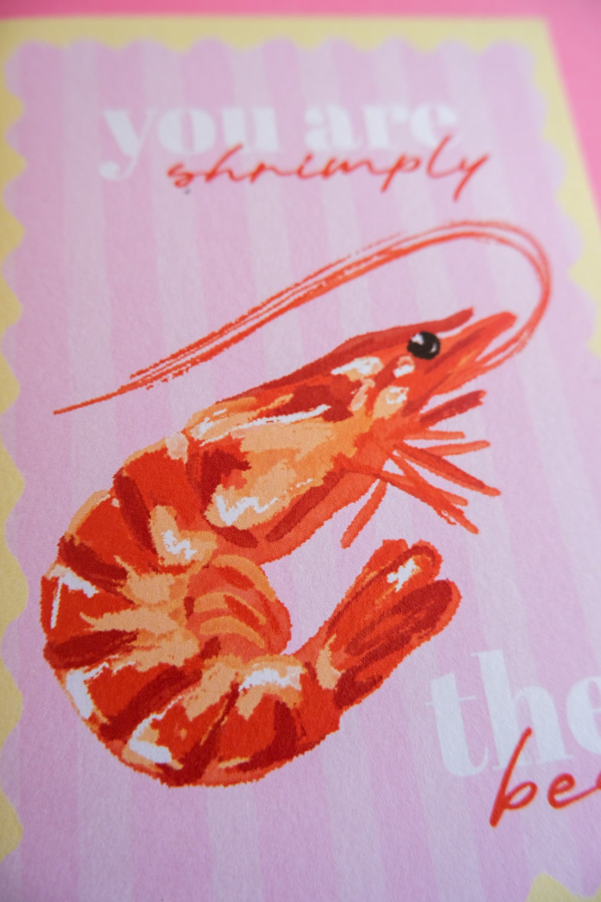 Shrimply the Best