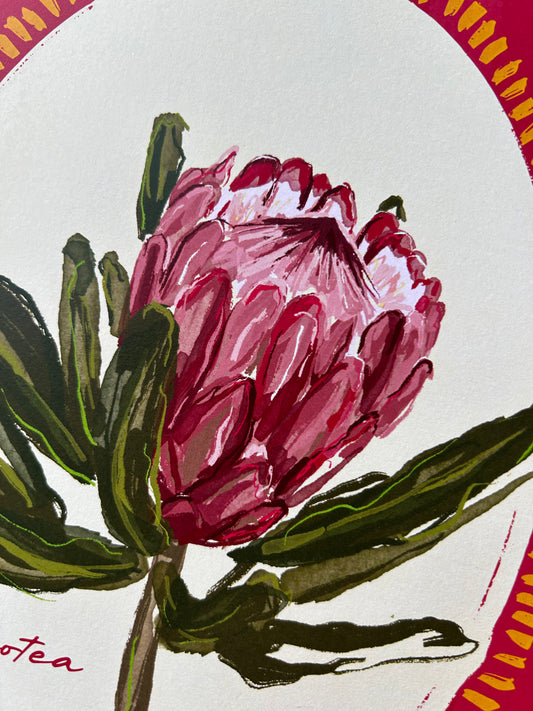 Protea