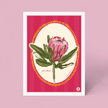 Load image into Gallery viewer, Protea