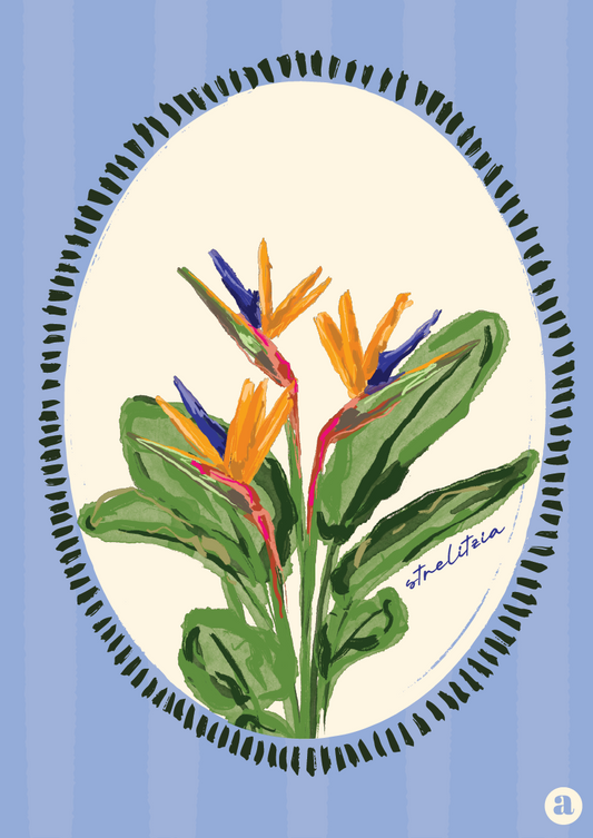 Strelitzia Flower