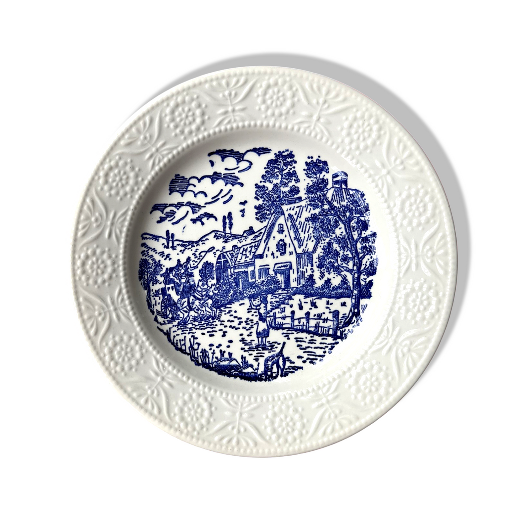 Blue and White Country plate