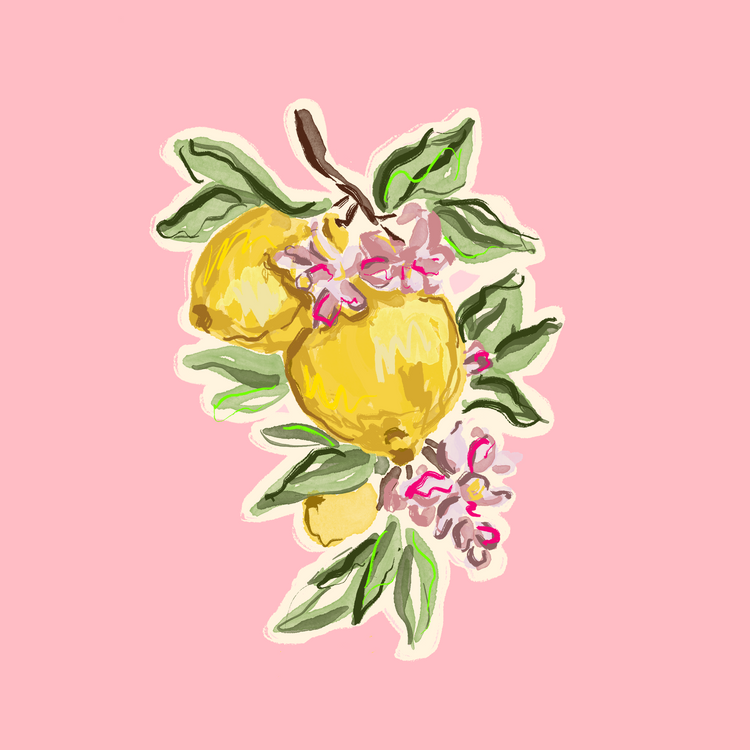 Fruit