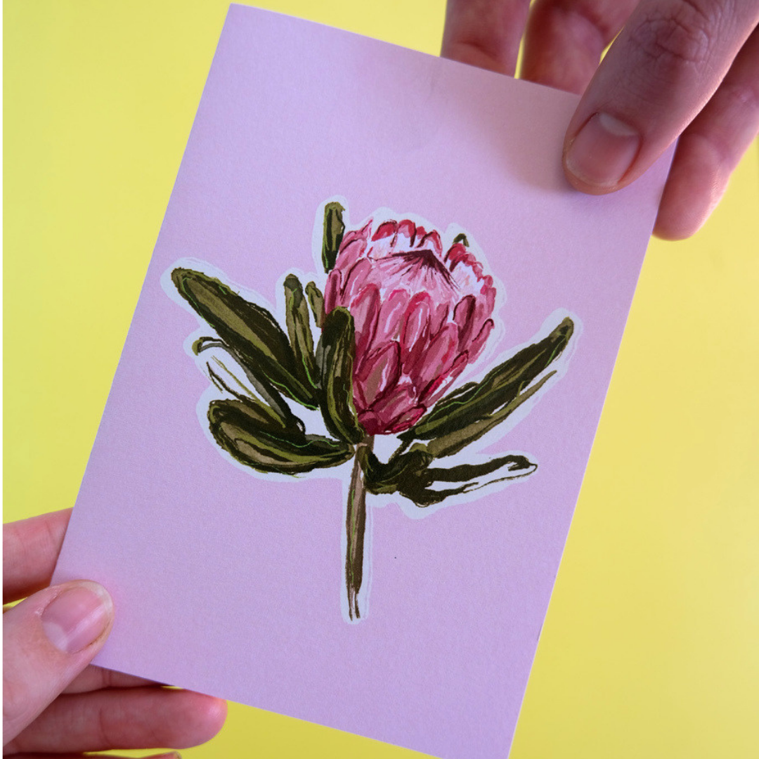 Protea