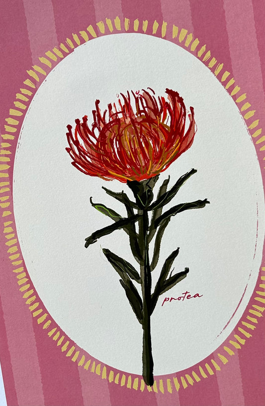 Pin Cushion Protea
