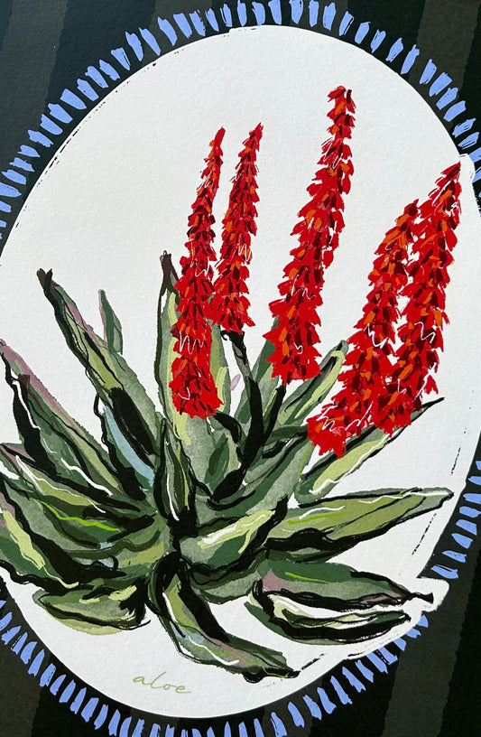 Aloe