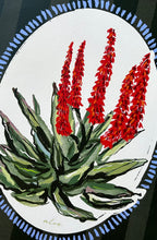 Load image into Gallery viewer, Aloe
