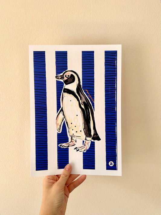 African Penguin