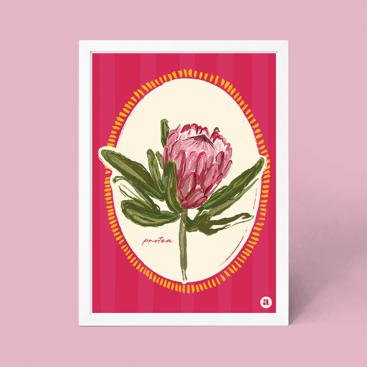 Protea