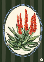 Load image into Gallery viewer, Flora Bundle
