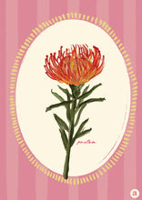 Load image into Gallery viewer, Flora Bundle
